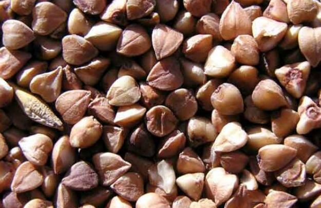 Sarraceno wheat nucleus